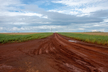 Fototapeta na wymiar Dirt ground road crossing farm