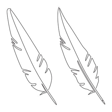 Bird feather. Continuous line drawing. Vector illustration isolated on white background.