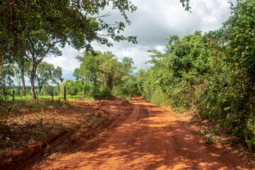 Dirt ground road crossing farm