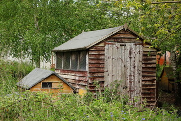 Overgrown garden, with weathered huts.