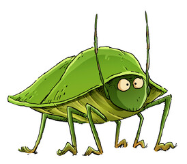Southern green stink bug illustration - obrazy, fototapety, plakaty