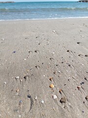 Wet sand on the beach