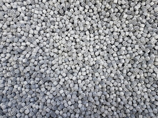 Renea nickel, also known as 