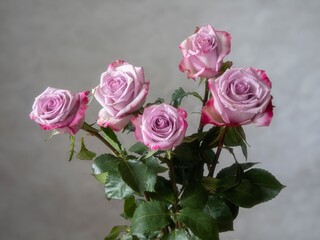 Bouquet of roses on gray background