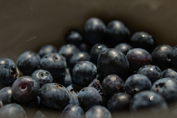 Blueberry macro 2