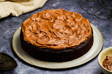 Chocolate cake with chocolate frosting