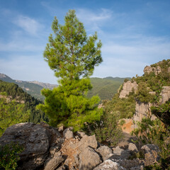 Fototapeta na wymiar Koprulu National Park near ancient city of Selge Adam Kayalar, Turkey. Koprulu Canyon.