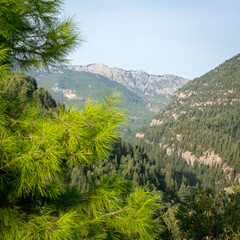 Koprulu National Park near ancient city of Selge Adam Kayalar, Turkey. Koprulu Canyon.