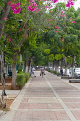 Paseo Montejo en la ciudad de Merida, estado y peninsula de Yucatan, pais de Mexico o Mejico