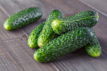 Cucumber on brown wood texture background.Cucumbers harvest in summer. Cucumbers for salads or canning. Summer vegetables. Organic agriculture in village.