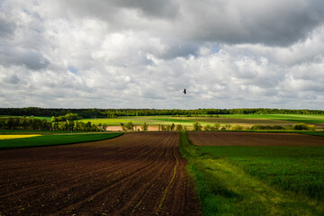 Obraz premium landscape with field and sky