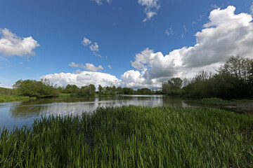 Quiet lake on a clear sunny day