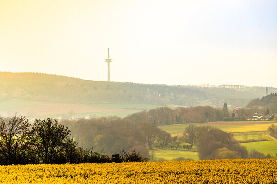 Sunbeams in gold orange on a field near Kreuzau with a view of the radio tower in Gey