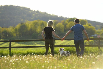 Tierliebe. Junge Menschen mit hübschen Junghund in der Abendsonne