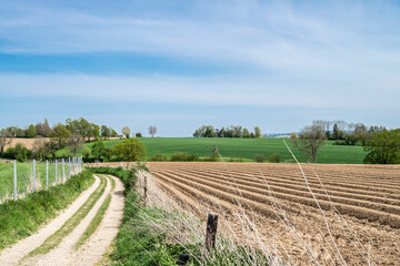 Fototapeta na wymiar Beautiful summer countryside landscape with a village road and a plowed field against the blue sky. The nature of Limburg with green hills and distances on the horizon.