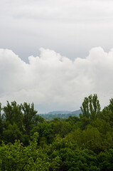 Spring city landscape - green trees and sky with clouds