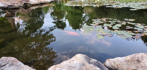 lake in the mountains