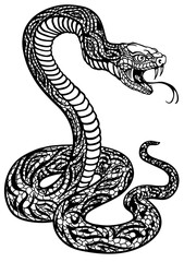 a poisonous snake in a defensive position. Attacking posture. Black and white tattoo style isolated vector illustration