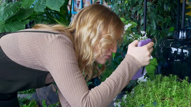 A woman blogger takes pictures of flower plants on the phone. Large glass vases stand next to the plants. Near the woman, large-rooted alocasia, which stands out especially from the flowers.
