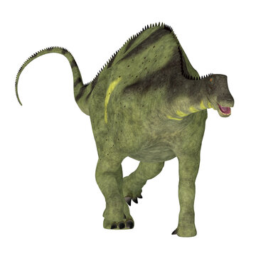 Brachytrachelopan Dinosaur on White - Brachytrachelopan was a sauropod herbivorous dinosaur that lived in Argentina during the Jurassic Period.