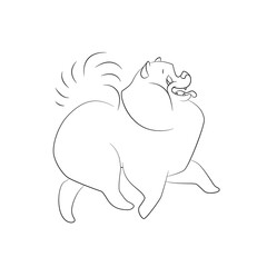 Linear drawing of a Spitz dog. Monochrome vector illustration on white background.