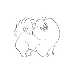 Linear drawing of a Spitz dog. Monochrome vector illustration on white background.