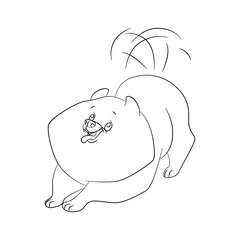Linear drawing of a Spitz dog. Monochrome vector illustration on white background.