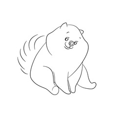 Linear drawing of a Spitz dog. Monochrome vector illustration on white background.
