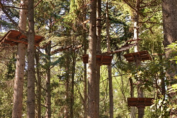 Exciting Adventure Park Detail. Forest Playground With Wooden Bridges. Ropes Courses Park in Summer Forest. Treetop Park.