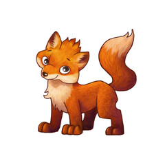 Cartoon character fox. Color illustration on white background.