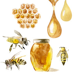 Hand-drawn honey jar set in watercolor technique. Collection of beekeeping and apiary elements. Vector illustration of beehive, working bee, honeycombs and cells. Organic, healthy, sweet honey drop.