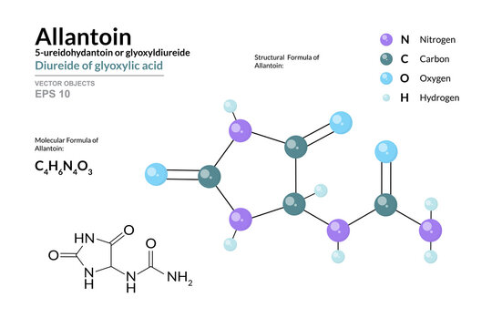 Allantoin. 5-ureidohydantoin or glyoxyldiureide. Diureide of Glyoxylic Acid. C4H6N4O3. Structural Chemical Formula and Molecule 3d Model. Atoms with Color Coding. Vector Illustration