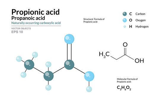 Propionic (Propanoic) acid. Naturally occurring carboxylic acid. C3H6O2. Structural Chemical Formula and Molecule 3d Model. Atoms with Color Coding. Vector Illustration