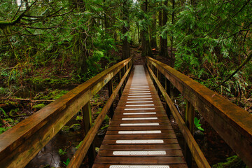 Boardwalk in the forest at Colliery dam park, Nanaimo, Bc