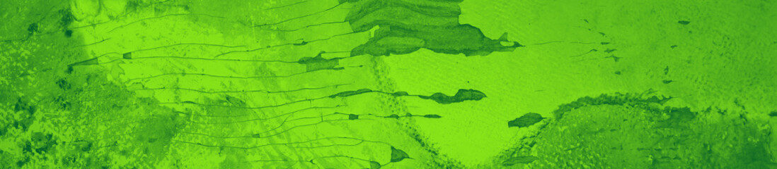 abstract green bright color background for design