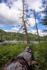 Lake Ausable at Indian head trail and Rainbow waterfalls near Keene in New York State.