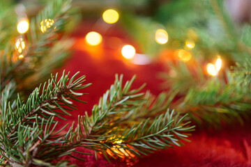 Christmas background, green pine branches on a red velvet festive background. Creative composition with border and copy space, top view. New year decoration with bokeh lights from light bulbs.