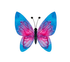 Tropical butterfly hand drawn watercolor clip art isolated on white background