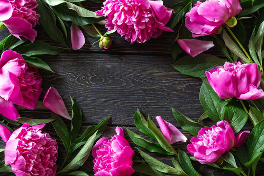 Flower composition. Frame of pink peonies with leaves and petals on wooden background. Spring or summer concept. Flat lay, copy space, top view.