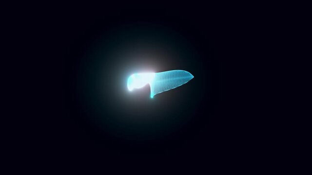 metal kitchen knife hologram Rotating. High quality 4k footage