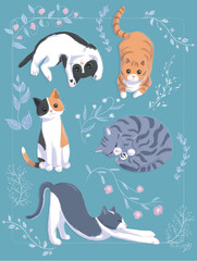 Colourful cats with flowers and turquoise background