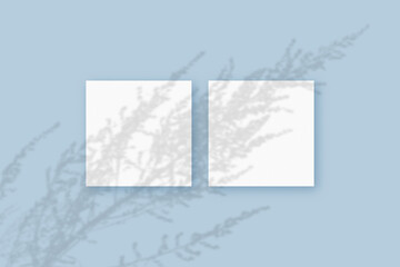Natural light casts shadows from the plant on 2 square sheets of white paper lying on a blue textured background. Mockup