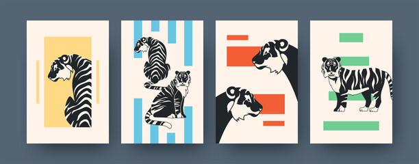 Set of contemporary art posters with tiger drawings. Vector illustration. .Collection of running, sitting, lying tiger in flat design. Africa, animal, wildlife, cat, jungle concept for media design