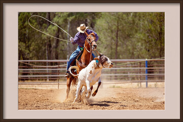 Framed Image Of Calf Roping At An Australian Country Rodeo