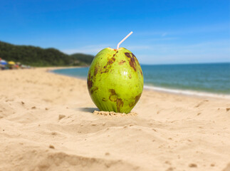 Green Coconut on the sand beach. Tropical beach background.
