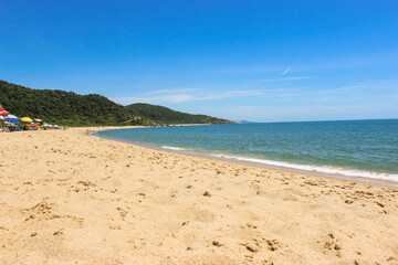 Tropical beach landscape. Bombinhas beach in Santa Catarina state.