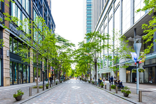 (東京都ｰ都市風景)春の丸の内並木通り風景１