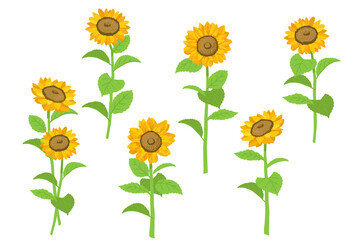 元気なひまわりのベクターイラスト セット