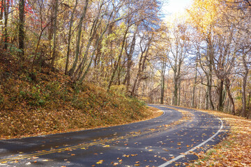 Obraz premium Autumn in Shenandoah National Park - Virginia, United States