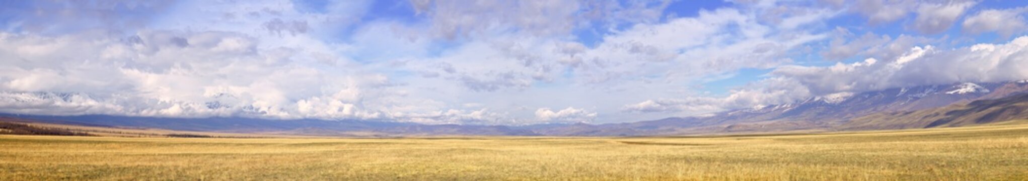 Kurai steppe in the Altai Mountains. Panorama of a wide spring plain surrounded by mountains under a cloudy sky. Pure Nature of Siberia, Russia